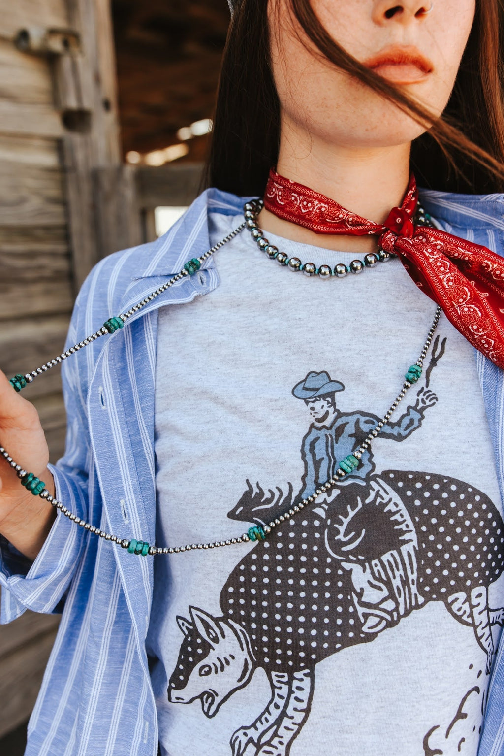 Armadillo Rodeo Graphic Tee